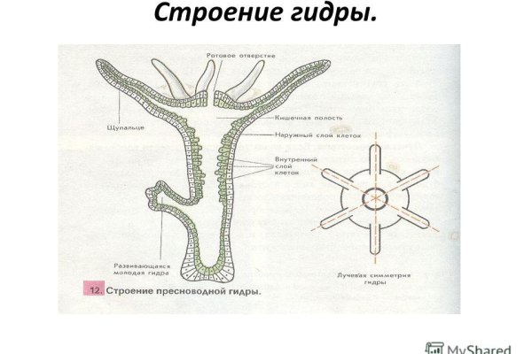 Что такое код аккаунта на блэкспруте