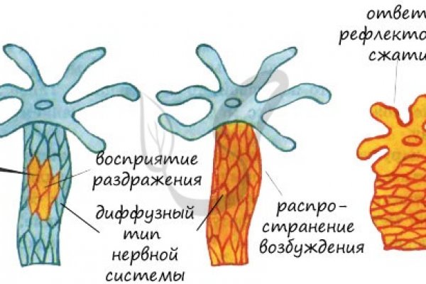 Bs med косметика официальный сайт